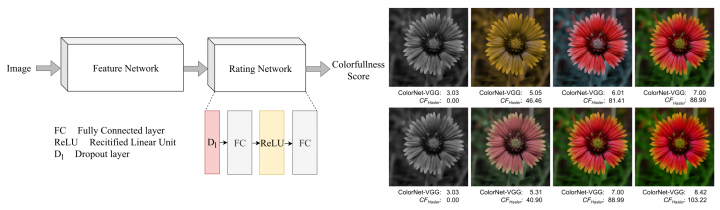 ColorNet: Estimating colorfulness in natural images